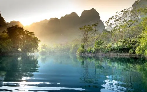 高效高效